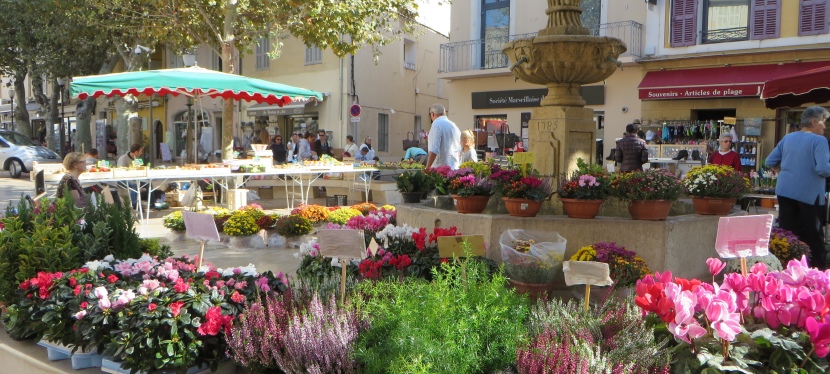 Outdoor Market in Cassis, France